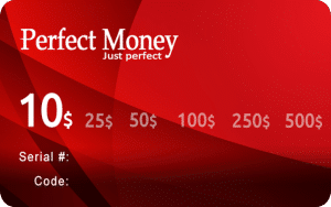 Perfect Money Voucher India